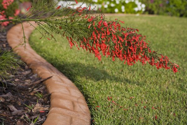 Brick Edging in Fairhope